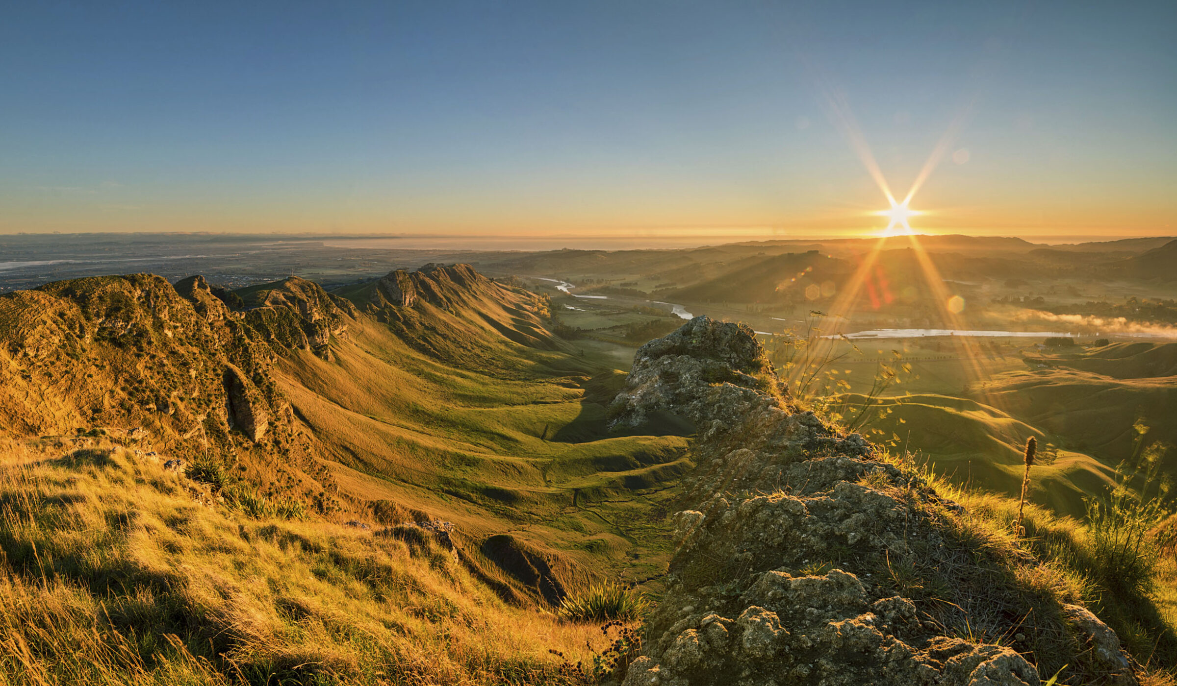 Golden Hawke's Bay