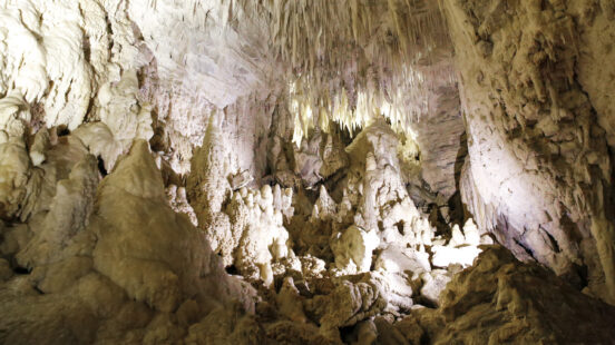 Waitomo Caves, New Zealand