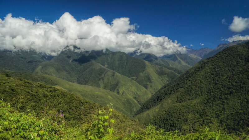 Coroico Bolivia