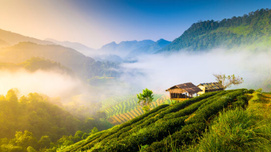 Landscape Chiang Mai Thailand