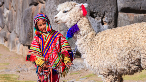 A child in colorful woven clothes and a hat standing next to a fluffy white alpaca with purple and red tassels.