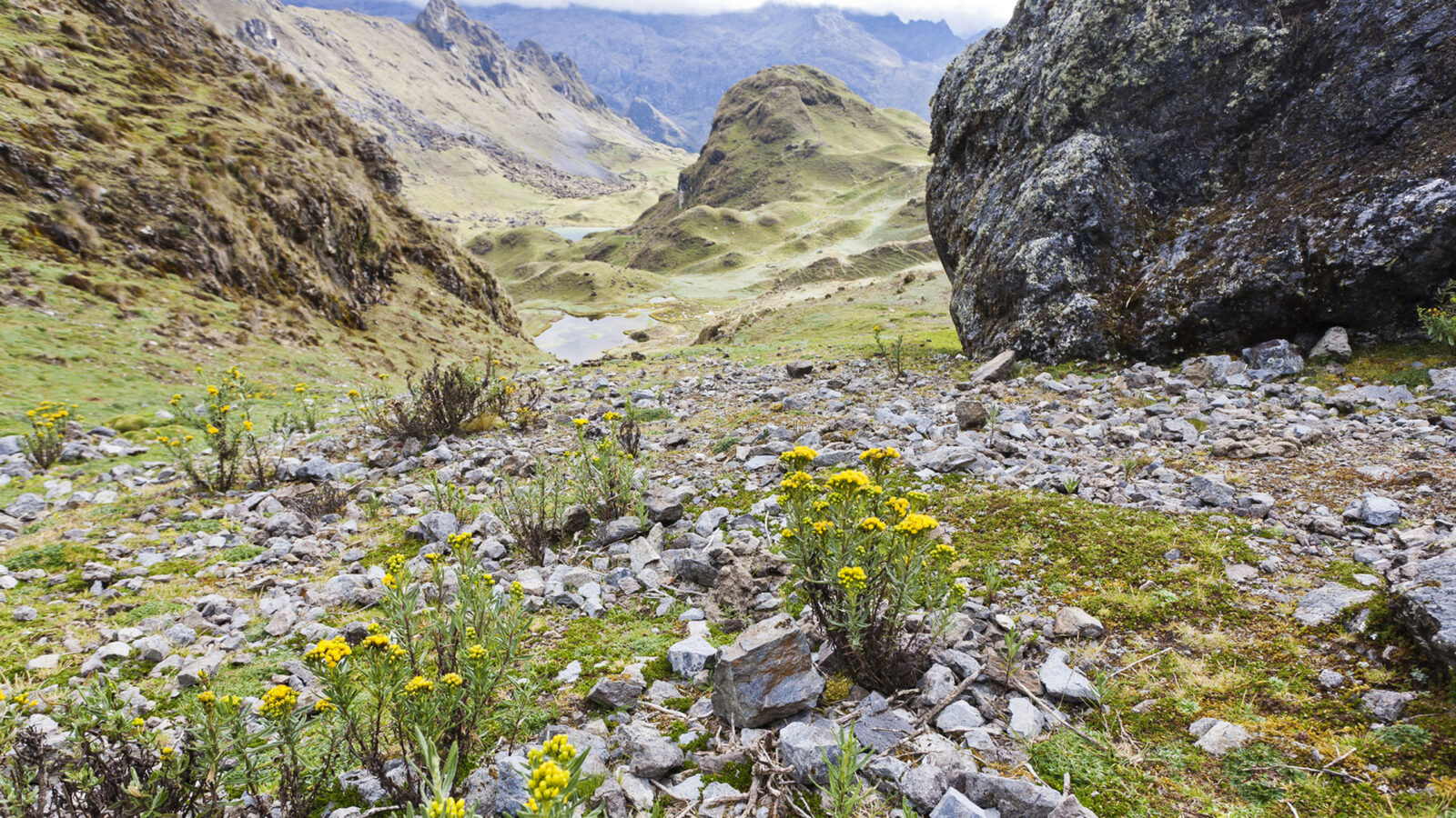 the-inca-trail-peru