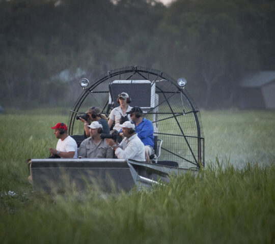 Airboating in Bamurru Plains