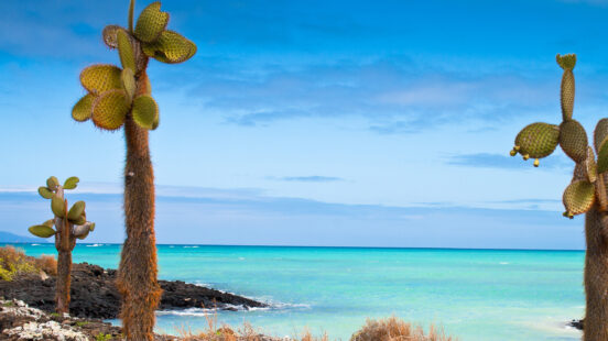 Santa Cruz Coast Beach Galapagos