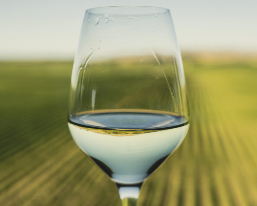 Progressive winery dinner