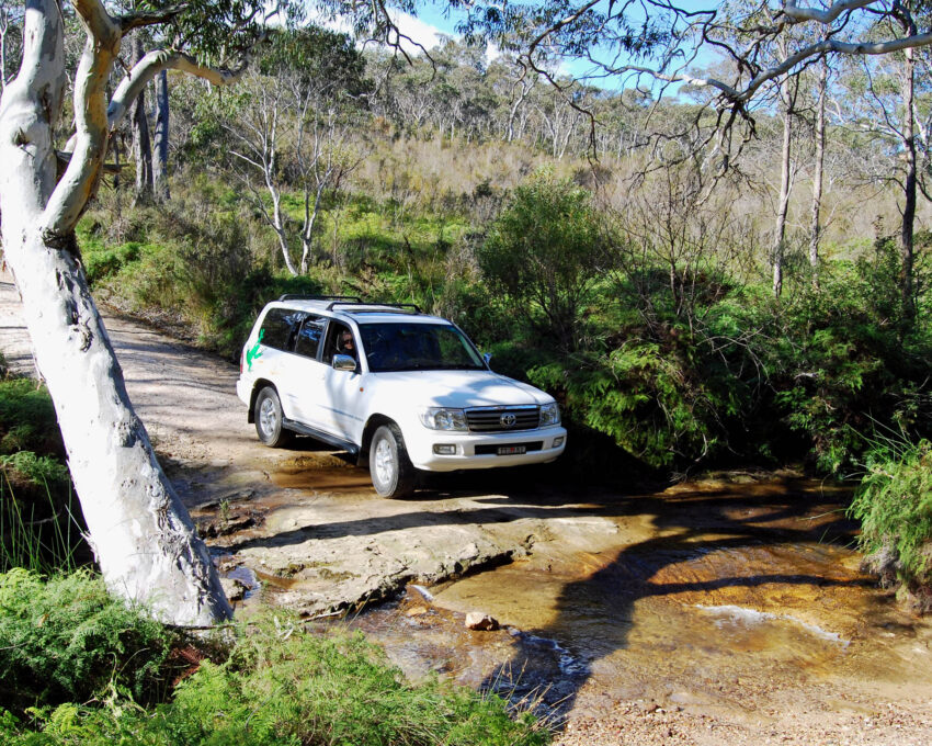 Rocks to Rainforest 4WD Eco Tour