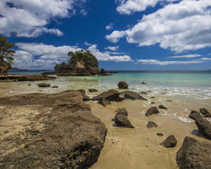 A visit to Matakana, Tawharanui Beach and Parry Kauri Park
