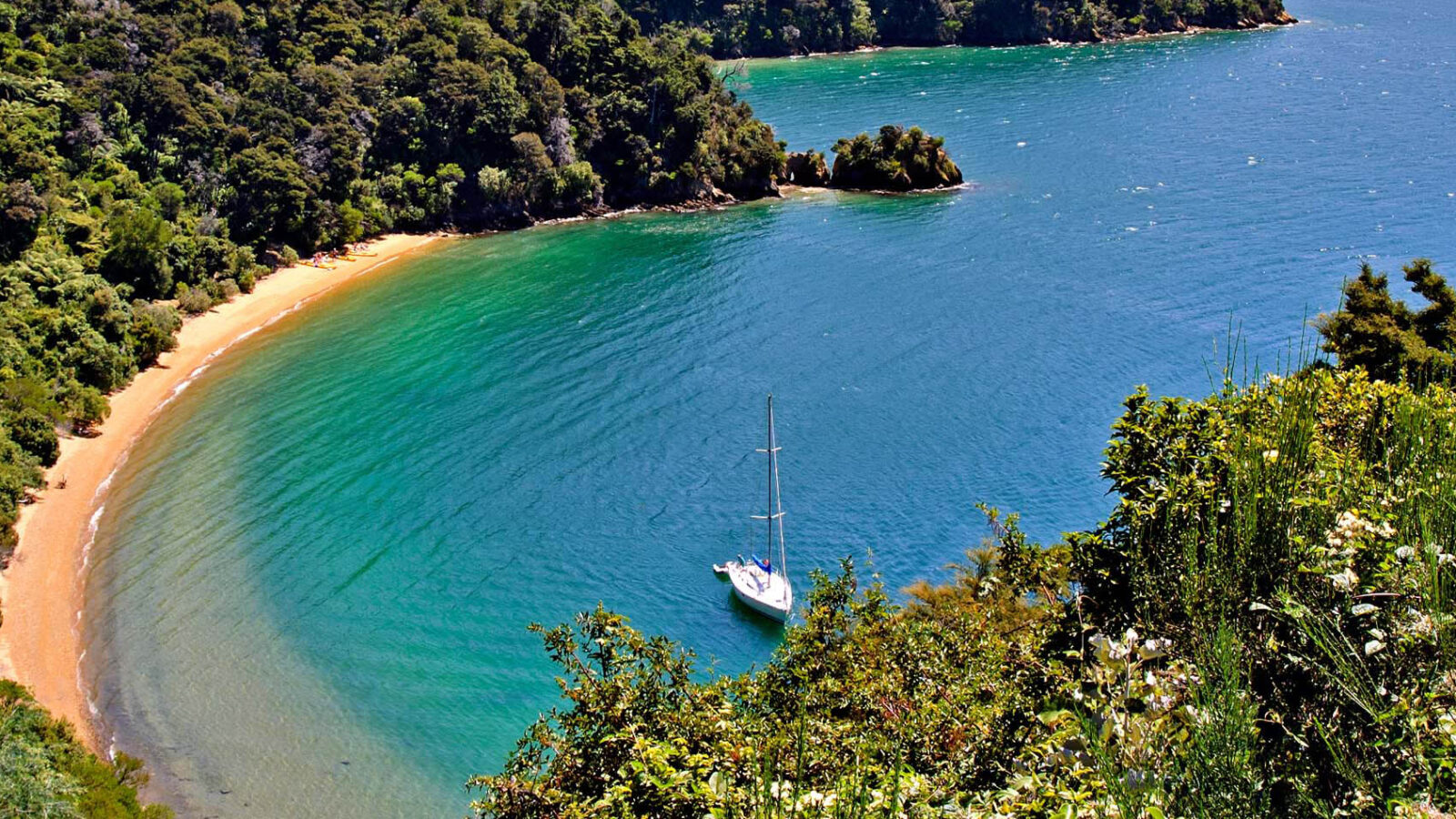 A high level view of a typical scenic beach scene, in Abel Tasman National Park, New Zealand