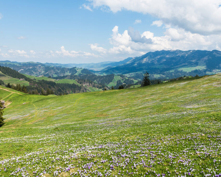 Private transfer to Bern, via the Emmental Valley