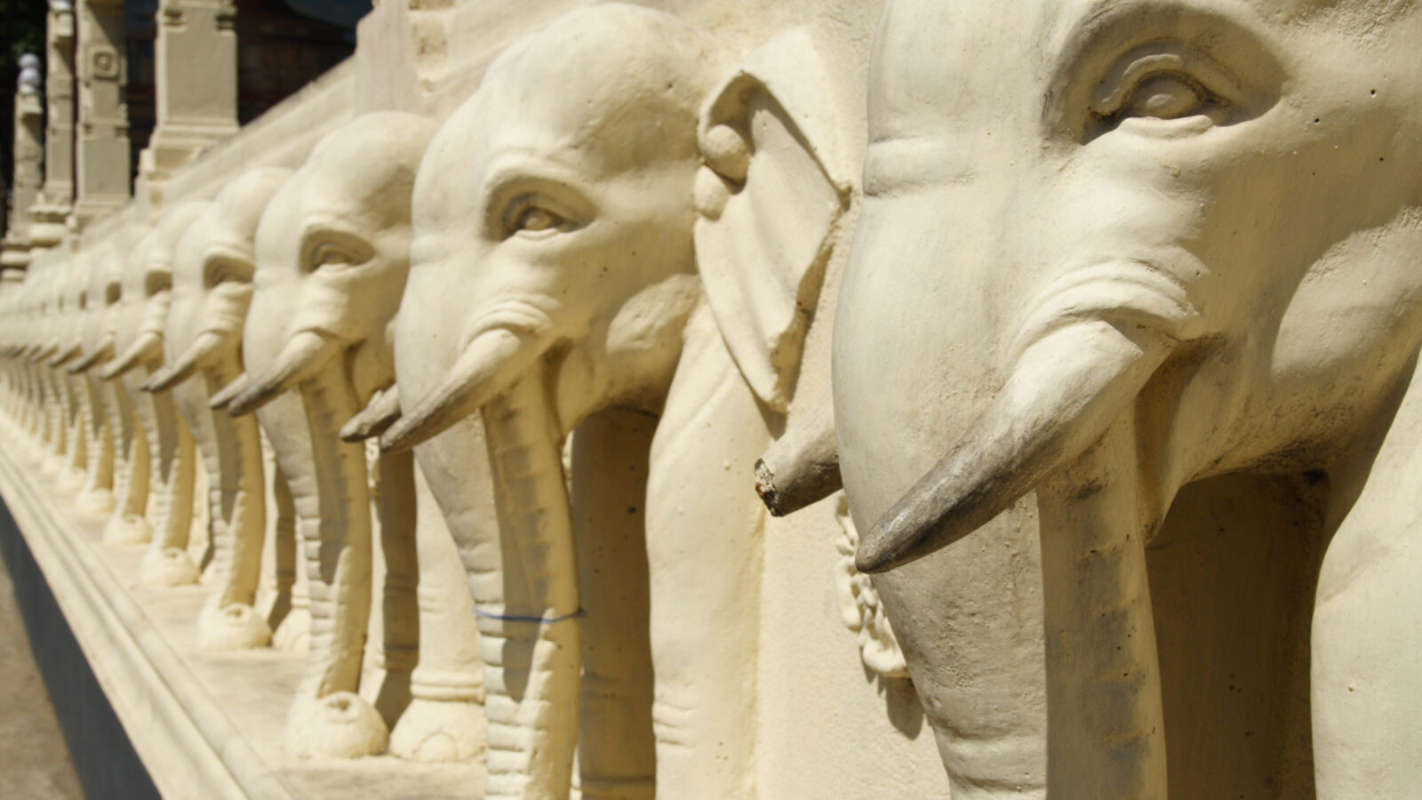 elephant-wall-kandy