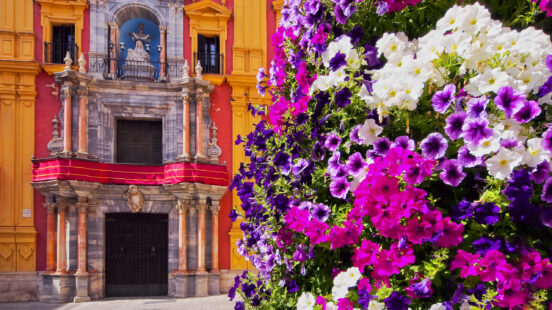 Ornate yellow and red historic building facade framed by blooming purple and white petunia flowers.