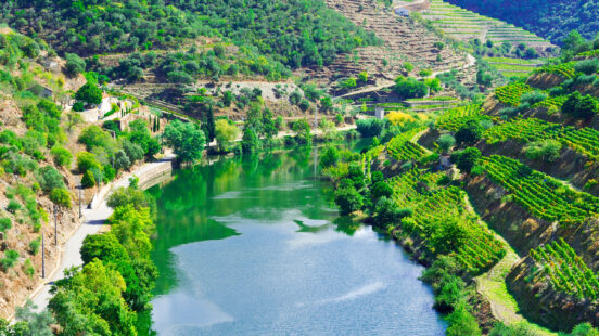douro-valley-summer
