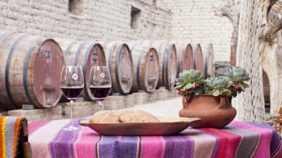 bodega-el-porvenir-wine-tasting-argentina