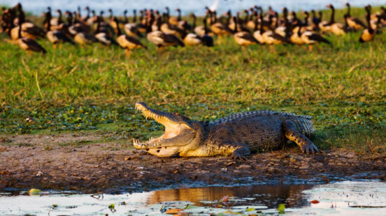 kakadu-national-park-australia