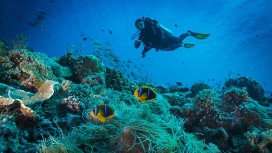 scuba-diving