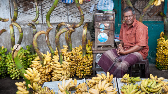 market-seller-colombo-sri-lanka