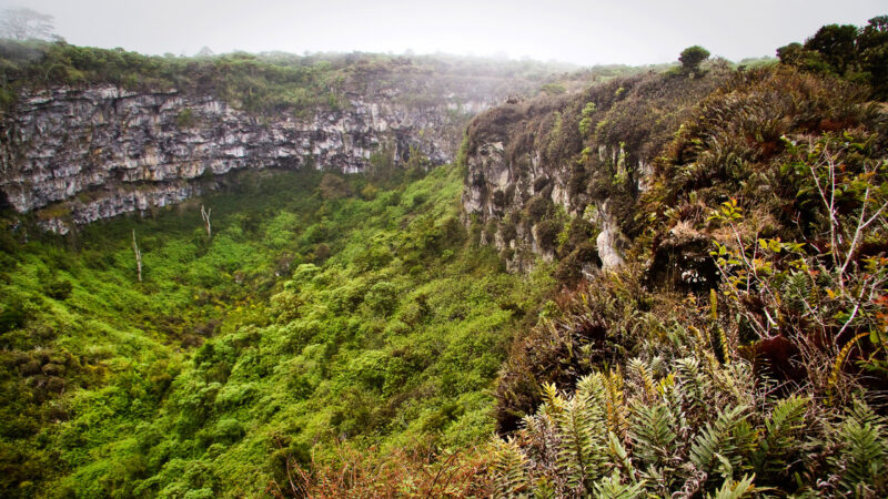 Amazing landscape of Twin Craters, Los Gemelos, mysterious mossy forest