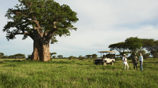 Singita Pamushana Lodge drive, Simbabwe, Malilangwe wildlife reserve