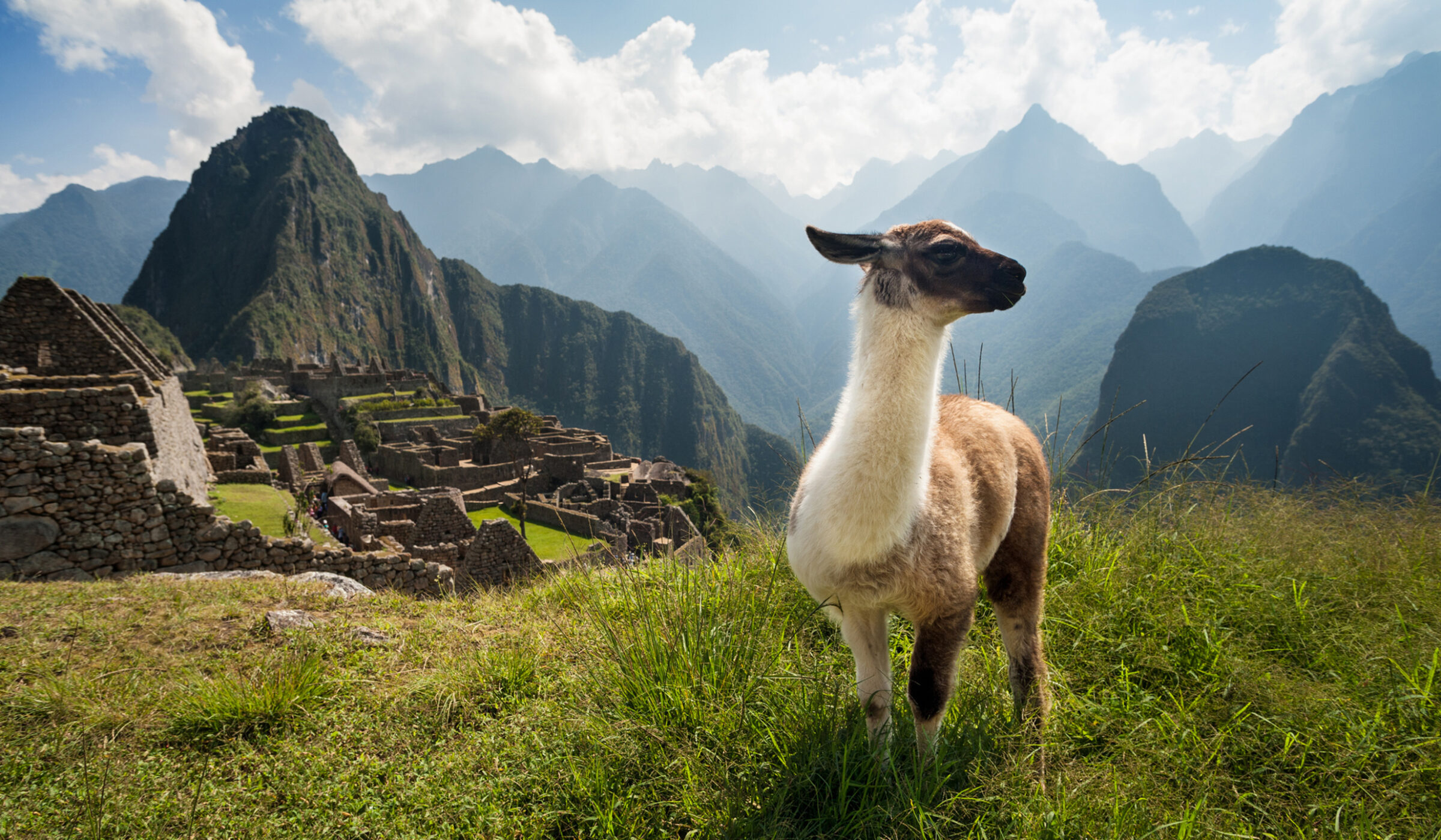 Explore Machu Picchu