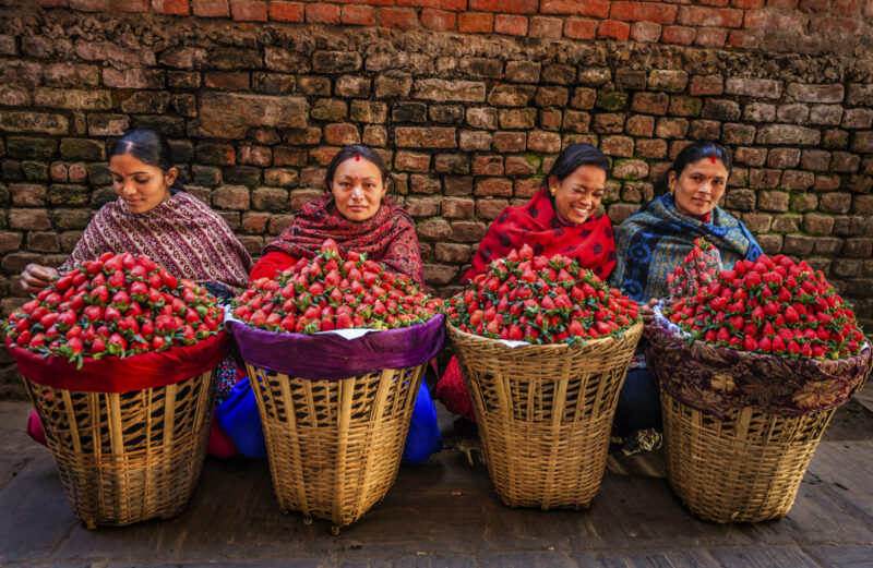 Women selling strawberries Nepal