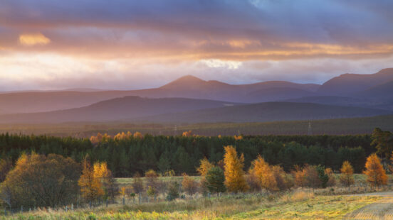 family-trips-to-ireland-and-scotland-cairngorms-national-park-scotland