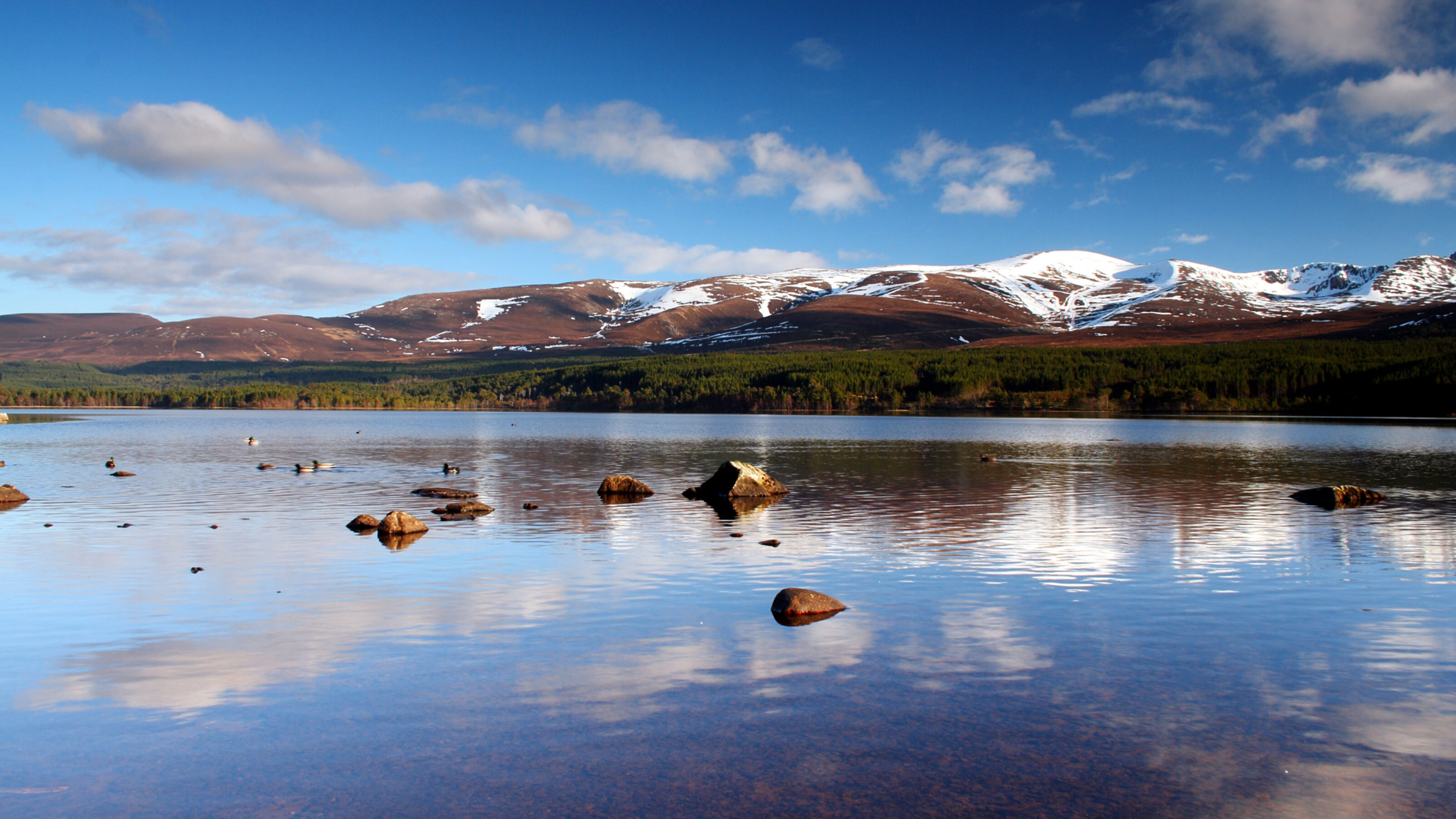cairngorms