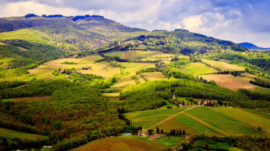 Lush green landscape of rolling hills and vineyards in the countryside during a bright day.