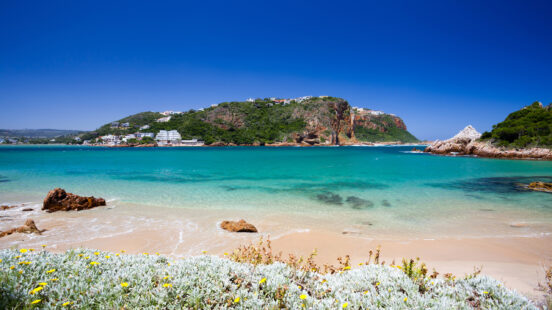 A beach in Knysna, South Africa.
