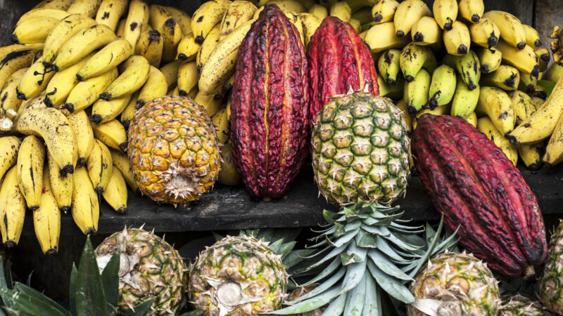 Latin America street market, Ecuador