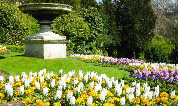 A stone garden urn on a pedestal surrounded by rows of blooming white, yellow, and purple hyacinth flowers.