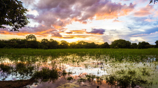 Colorful sunset clouds reflected in a swampy marshland area surrounded by distant trees.