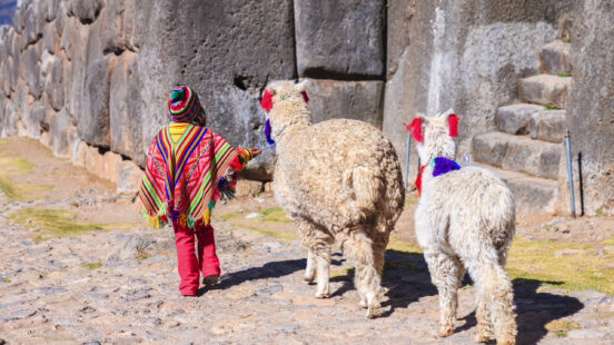 peruvian-child-with-llama