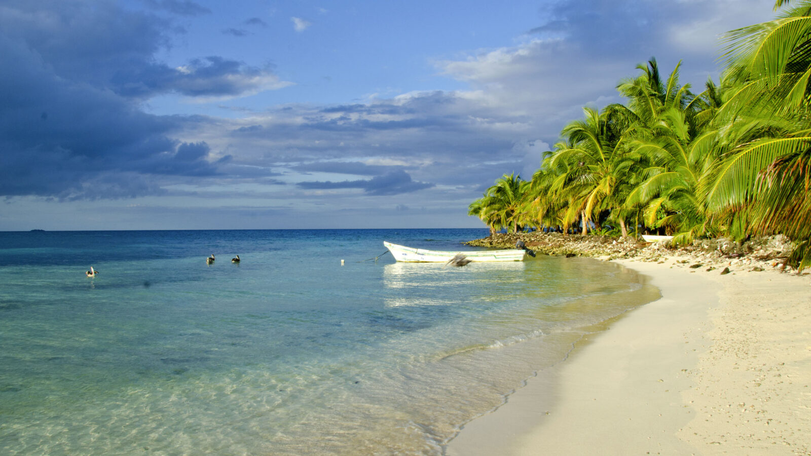 A white boat on a tropical beach with palm trees during luxury Belize trips.