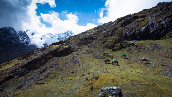 Lares Trek, Peru