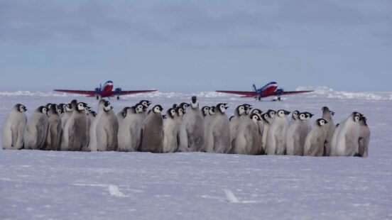 Penguin Spotting Whichaway Camp White Desert Antarctica