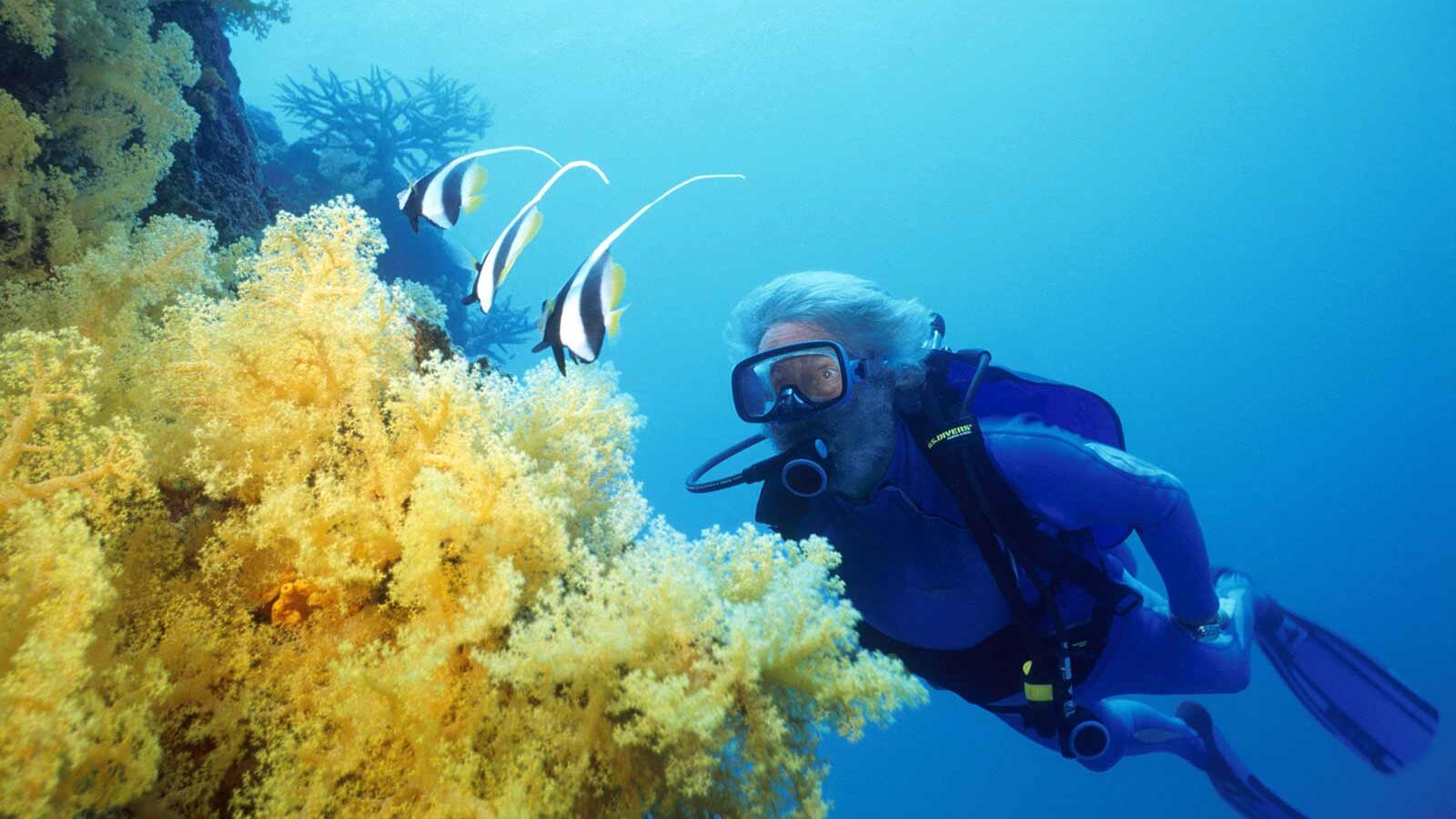 Senior lady scuba diving Fiji