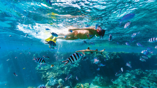 fiji-princess-snorkelling