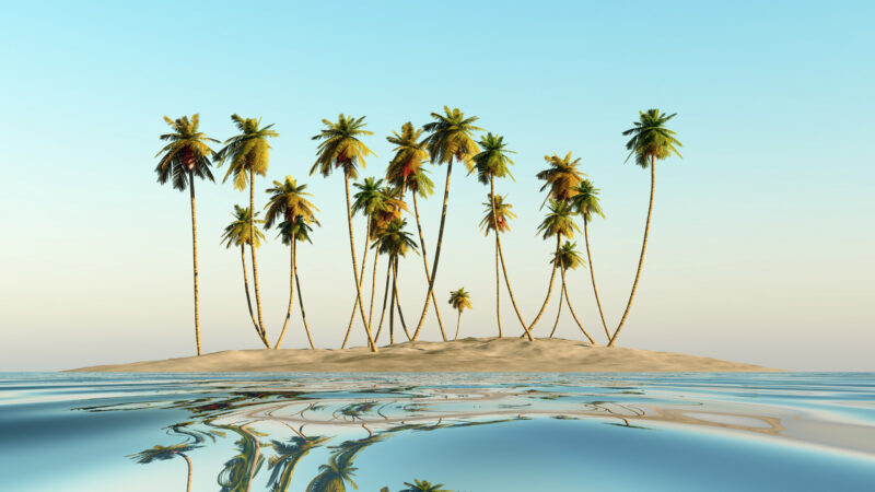 Coconut Island Fiji