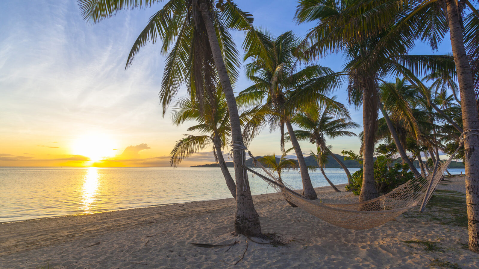 fiji-sunset-palm-trees