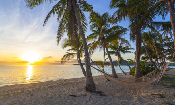 fiji-sunset-palm-trees