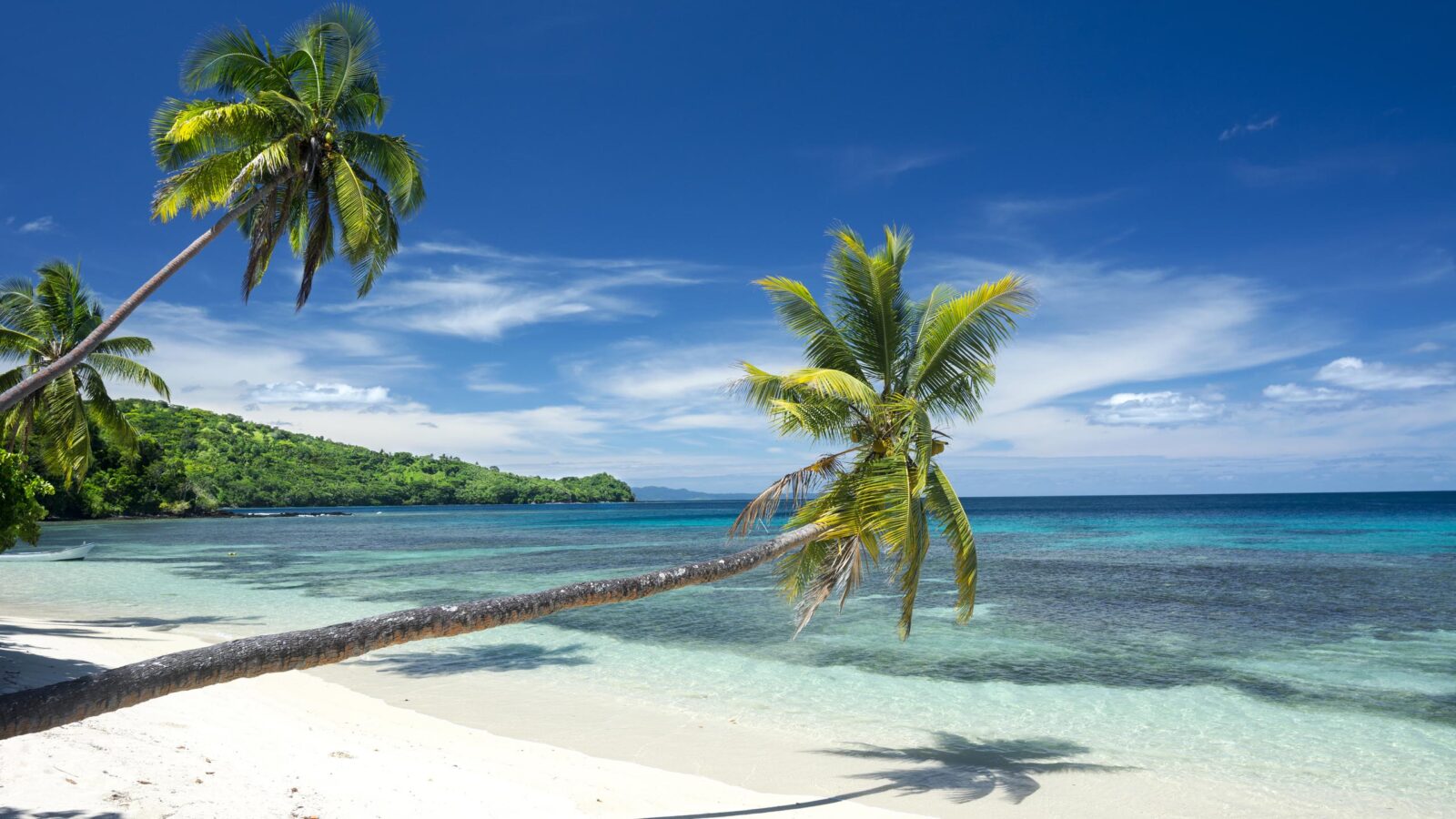 Three palm trees line a white, tropical sand beach highlighted by a beautiful deep blue sky.