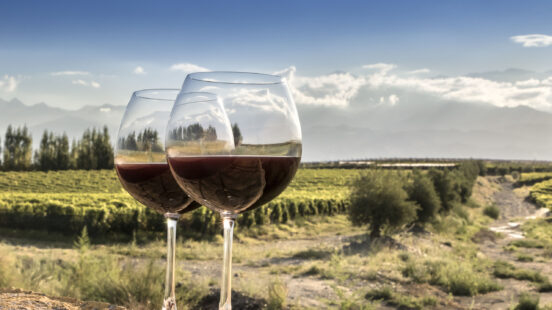 Two glasses of red wine sit in the foreground, overlooking a large, green vineyard beneath mountains.