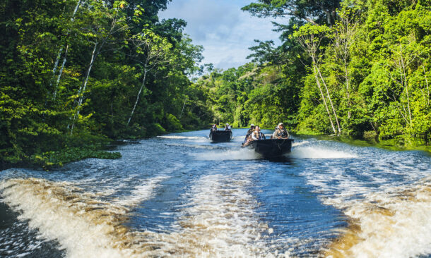 Motorboats create white wakes as they travel down a calm river through a thick green jungle with passengers on board.