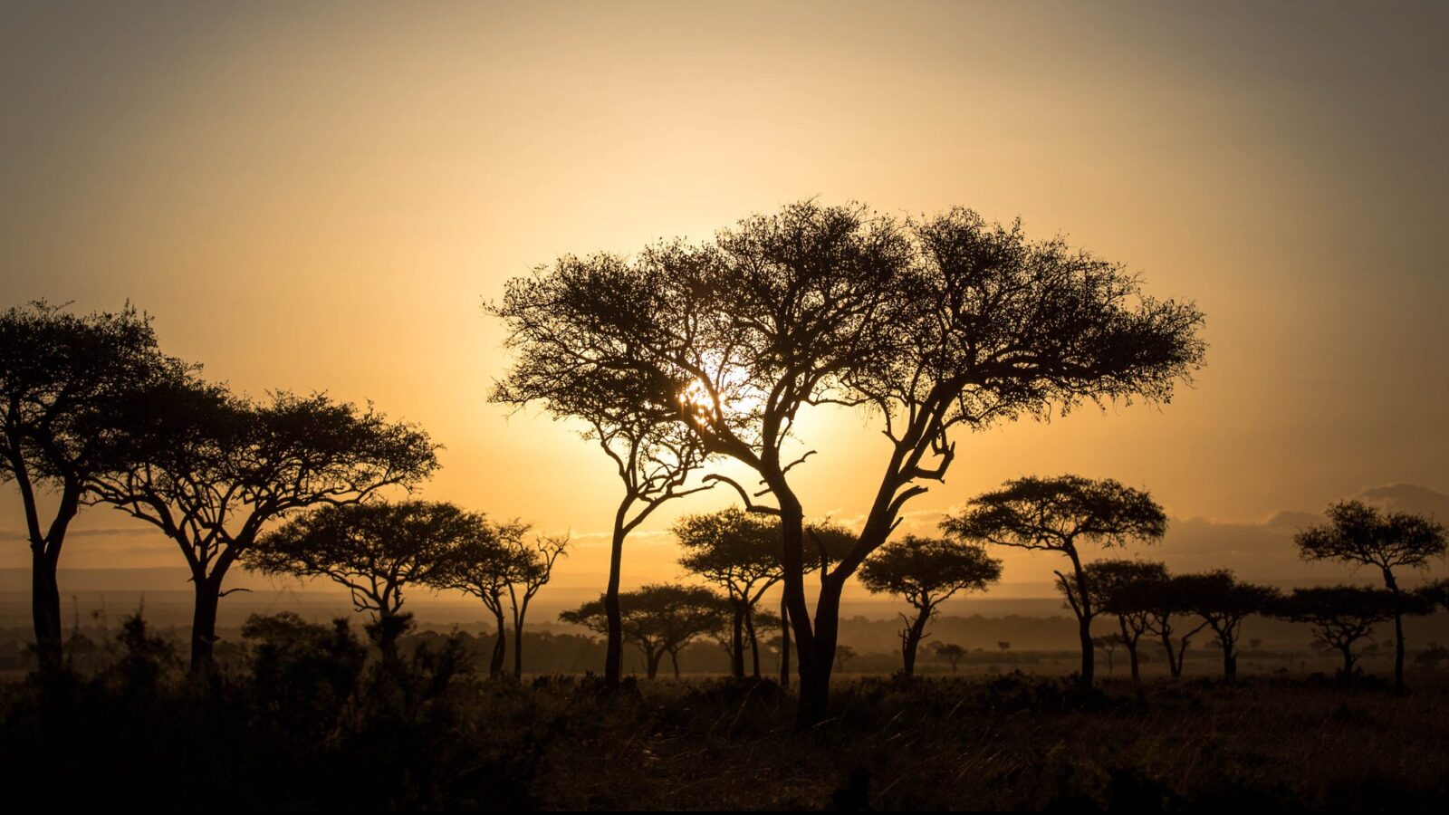 mara-conservancy-sunset