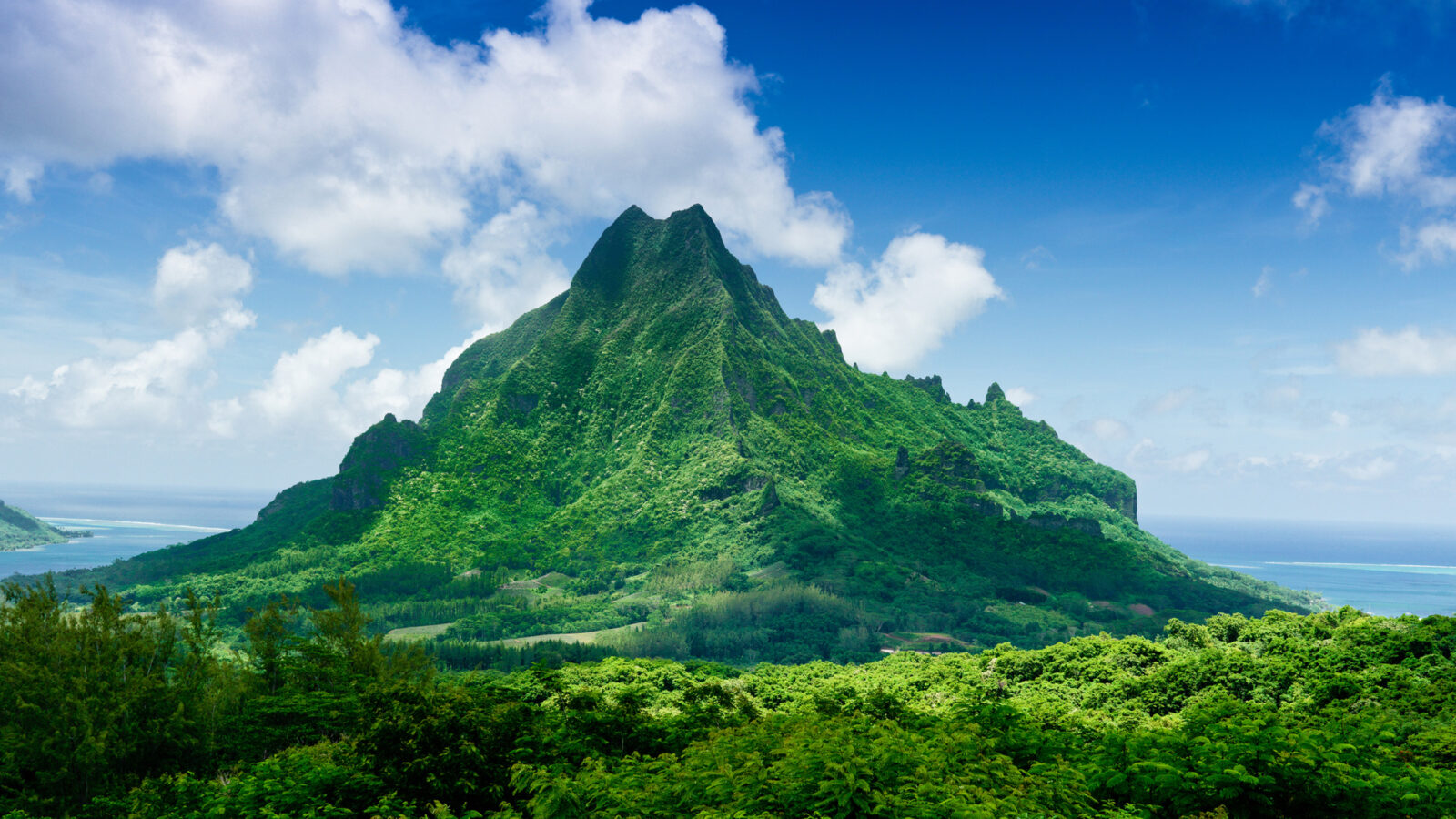 A lush green mountain peak rising above tropical trees during luxury French Polynesia tours.
