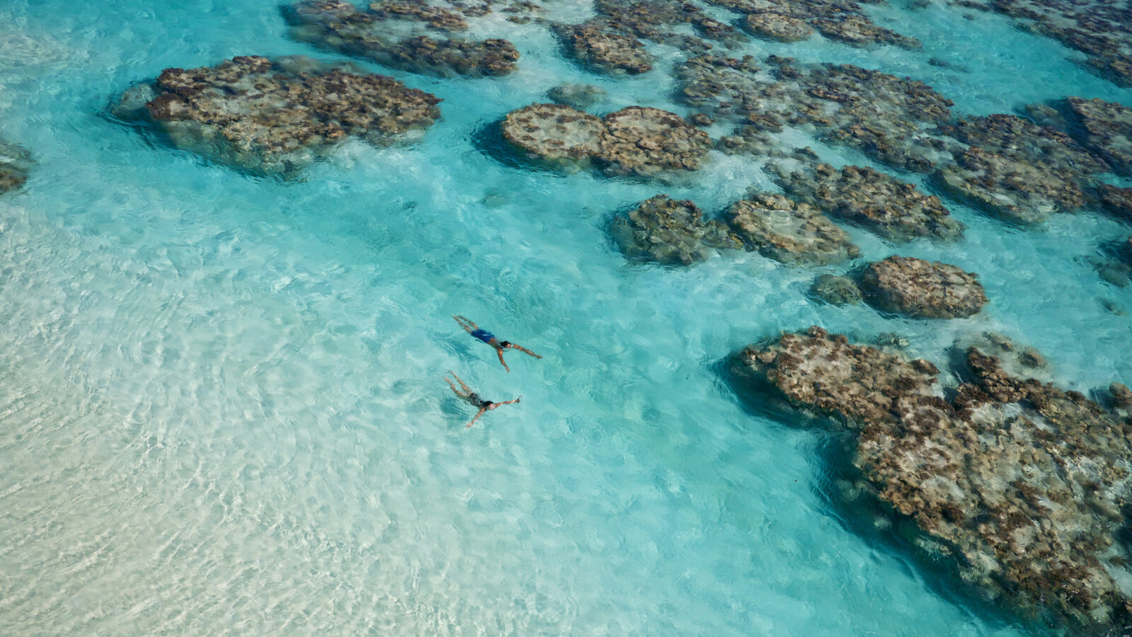 Two people swimming in a clear turquoise lagoon during luxury French Polynesia vacations.