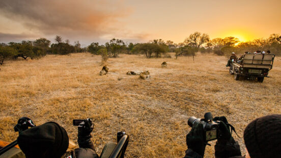 Sunset, Sabi Sabi Safari, South Africa