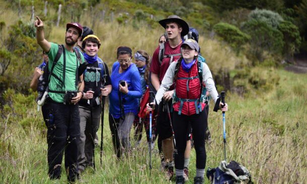 A group of hikers in a grassy field looking at something in the distance pointed out by a man in a green shirt.