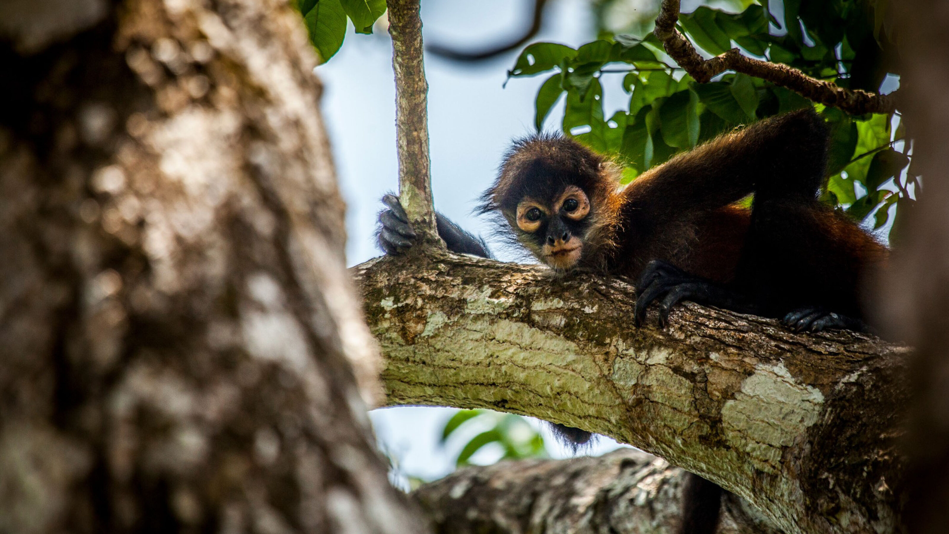 Community and Conservation in Costa Rica
