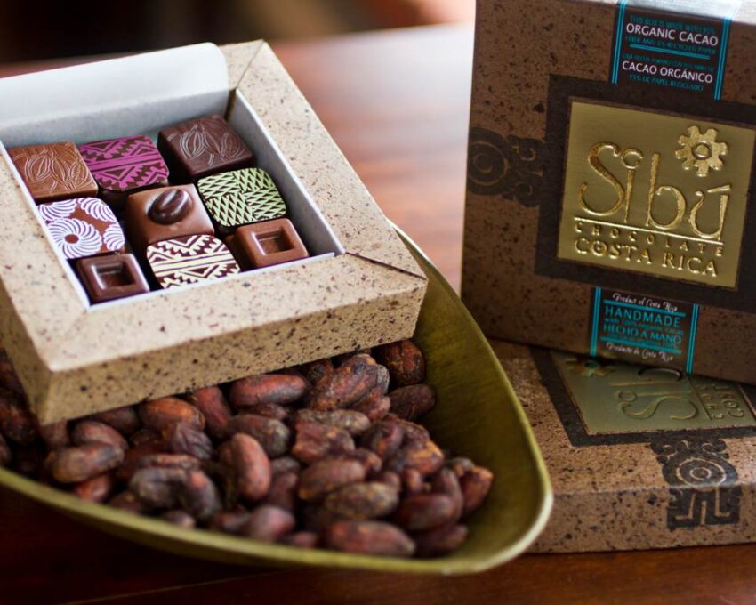 Sibú Chocolate Tour and Tasting
